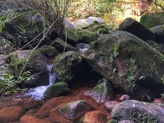 -赤水丹霞旅游区·佛光岩