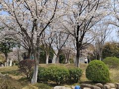 -堤角公园