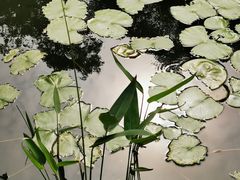 -云溪植物园