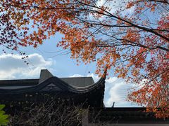 -秋霞圃