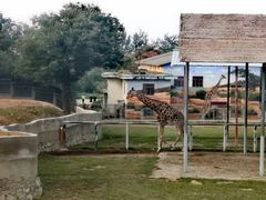 -西安秦岭野生动物园