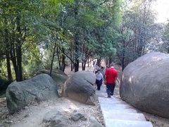 景点-火炉山森林公园