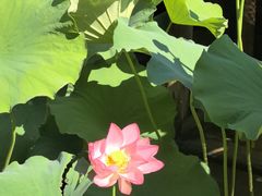 -乌石村