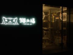 -猫大福·Fortune Cat猫舍(百子湾店)