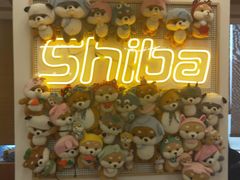 -豆柴町-柴犬主题狗咖(红鼎国际C座店)