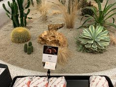 -OUR Bakery(SKP-S店)