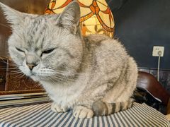 -不舍昼夜咖啡馆