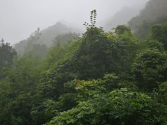 -抱龙峪