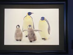 -罗红摄影艺术馆