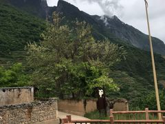-萝卜寨羌文化生态旅游区