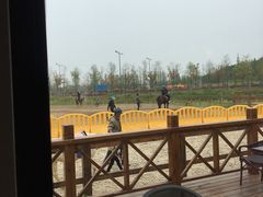 -上海长兴岛郊野公园