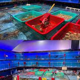 😍潮兴旺海鲜酒楼 | 一口鲜到灵魂的宝藏地