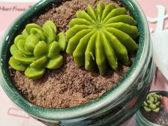 -鲜芋仙(九洲新世界广场店)