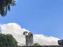 -江心屿景区
