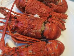 -瑞德姆美人鱼海底演艺主题餐厅(亚龙湾店)