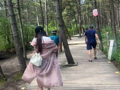 -帽儿山国家森林公园