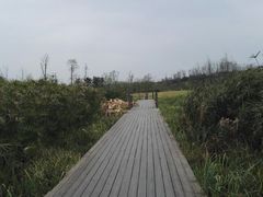 -白鹭湾湿地公园