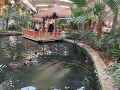 -南宫五洲植物乐园