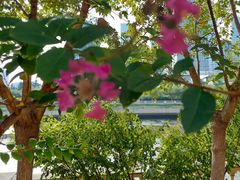 -马栏河运动公园