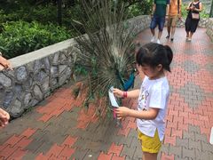 -吉隆坡雀鸟公园