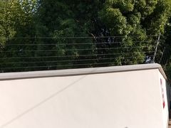 -宋庆龄陵园