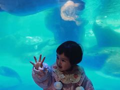 -海合安成都极地海洋公园