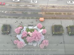 -东来顺·非遗火锅(赛格国际购物中心店)