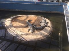 -太原动物园