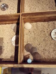 -酷嗒动物文化乐园(cutezoo西溪乐天城店)