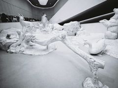 -中国湿地博物馆