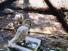 -鄱阳湖国家湿地公园
