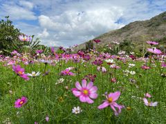 -三亚南山文化旅游区