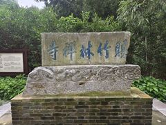 -镇江市南山风景名胜区竹林景区