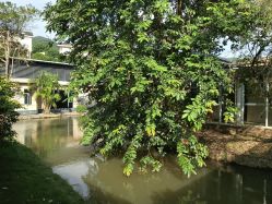 -爱帝宫月子中心(罗湖别墅院)