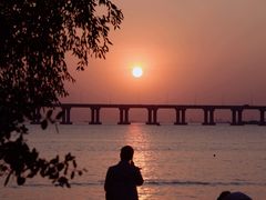 -宝安西湾红树林湿地公园