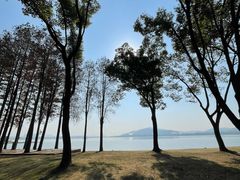 -宝界山林公园