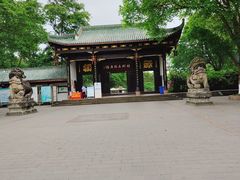 -桂湖森林公园
