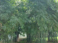-堤角公园