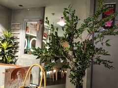 -施奈儿.洗头頭療.按摩SPA.采耳(上梅林店)