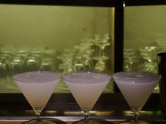 -SPEYSIDE 威士忌&鸡尾酒吧