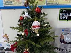 -美联众合动物医院·24h京西诊疗中心