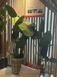 -花隐瑜伽·普拉提·红绳
