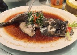 -金茂深圳JW万豪酒店·宴会厅