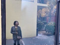 -三里屯东五街银杏大道