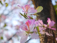 -南丰汇(新港东路店)