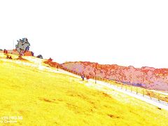 -小麦岛公园