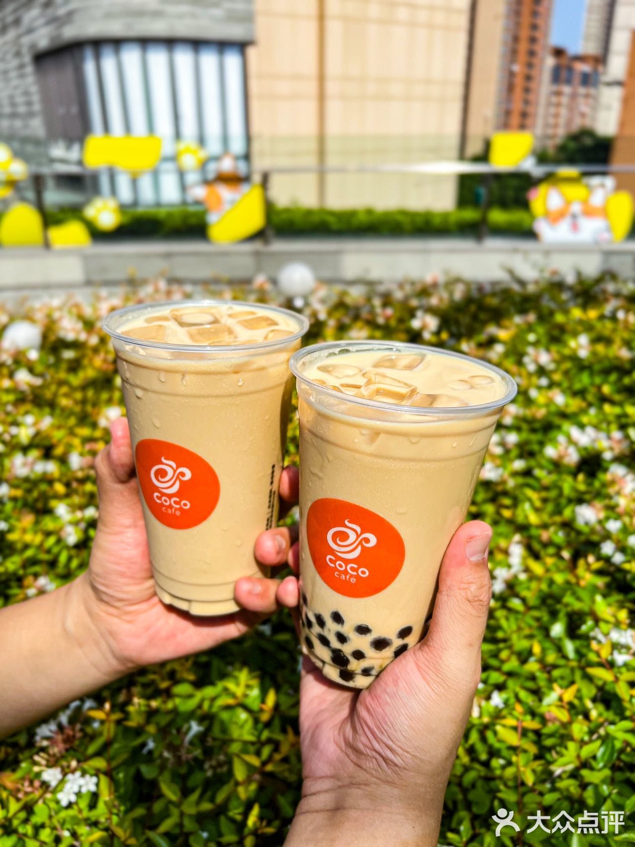 与夏日最般配的还是生椰拿铁系列啊