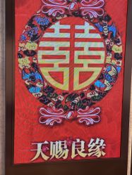 -Doris一站式游轮婚礼船东直营店(外滩店)
