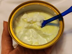 -德禄酸奶(莫家街店)