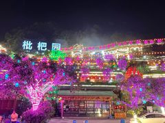 -枇杷园食为鲜火锅(南山店)